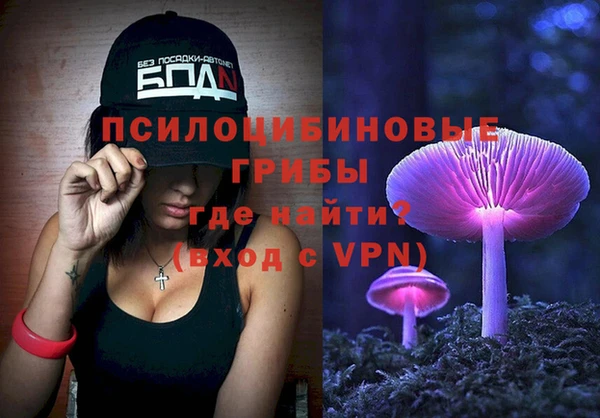 Альфа ПВП Коряжма