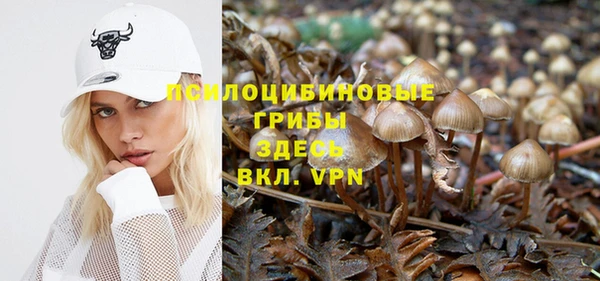 Альфа ПВП Коряжма