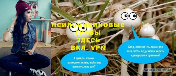 Альфа ПВП Коряжма