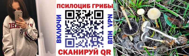 Галлюциногенные грибы прущие грибы  Медвежьегорск 